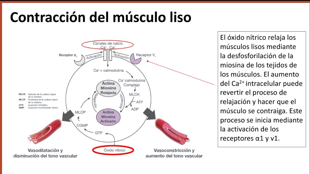 Muy interesante hoy la sesión clínica sobre Vasopresina y su papel en el shock séptico.