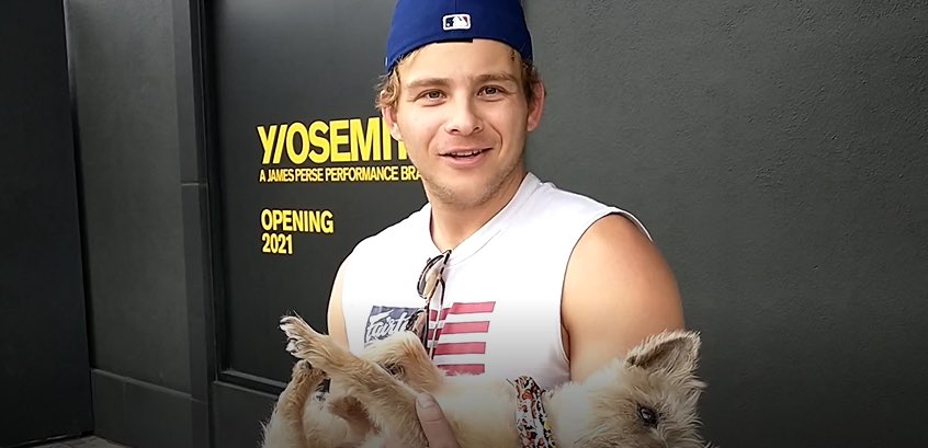 TMZ Tour tweet media