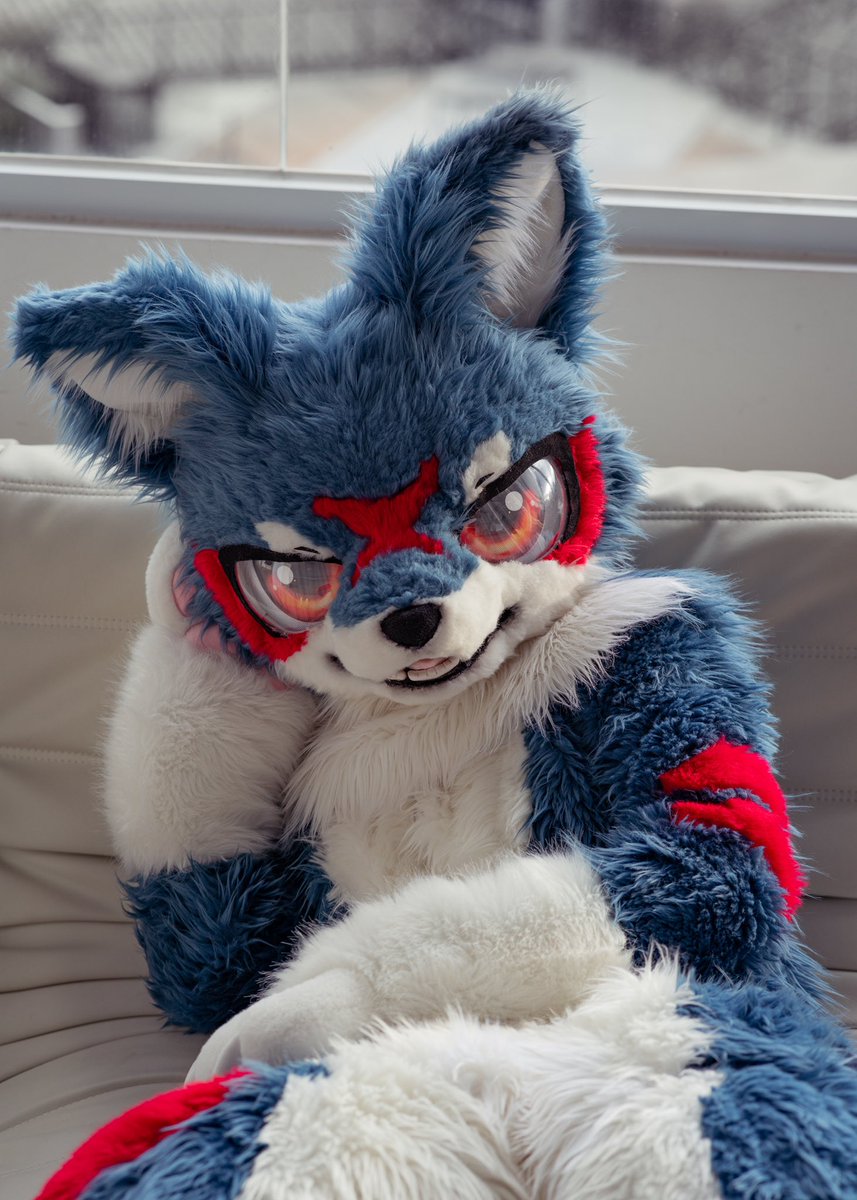 MakiFox tweet media