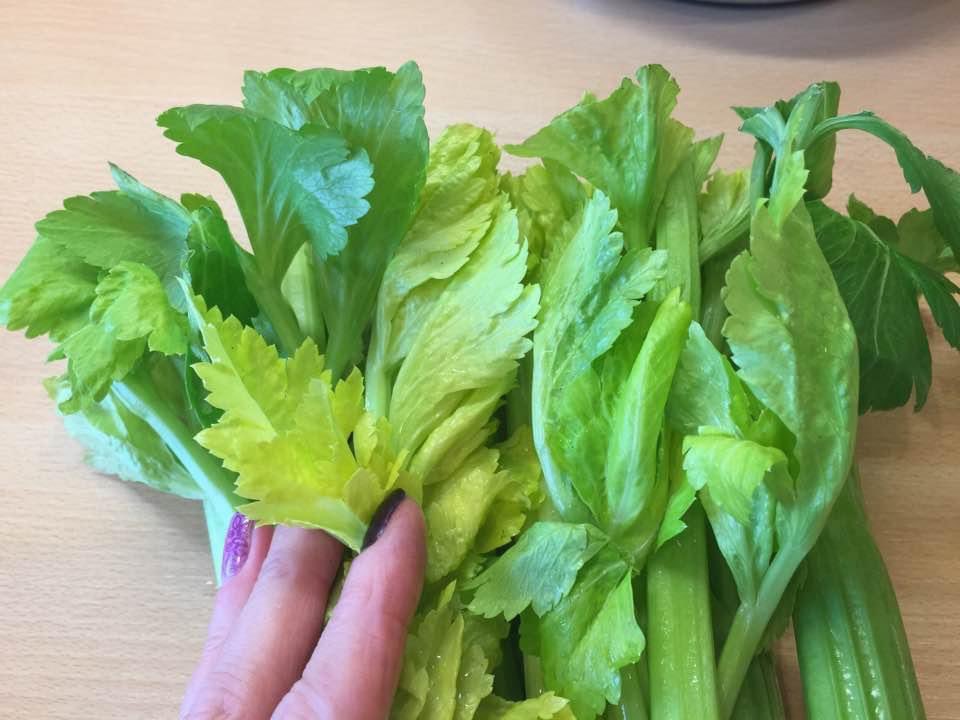 FlunkFest's tweet image. I wish producers/suppliers would do this more often, leaving a good head of leaves on celery like this 👌🏻 Chopped celery leaves add so much flavour and colour to homemade soups and stews; usually you're lucky if you get a few stalks with a few inner leaves on.   #waitrose