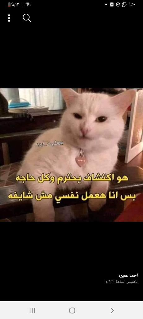 لما تقعد طول الليل تهبد في المرض اللي هتعمل عنه الاسيسمنت
الدكتور/
