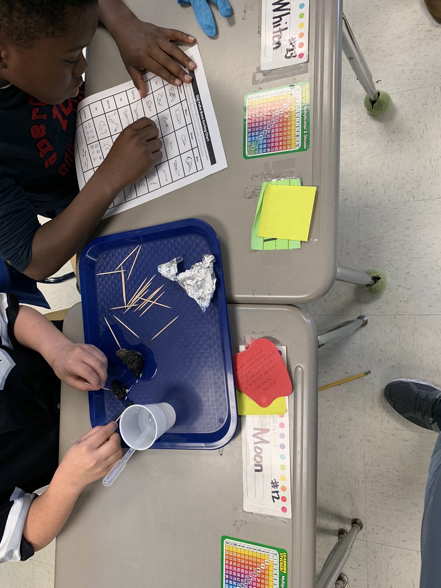 GESRockets's tweet photo. Look at these third graders getting to dissect Owl Pellets https://t.co/8tvuaySCTi