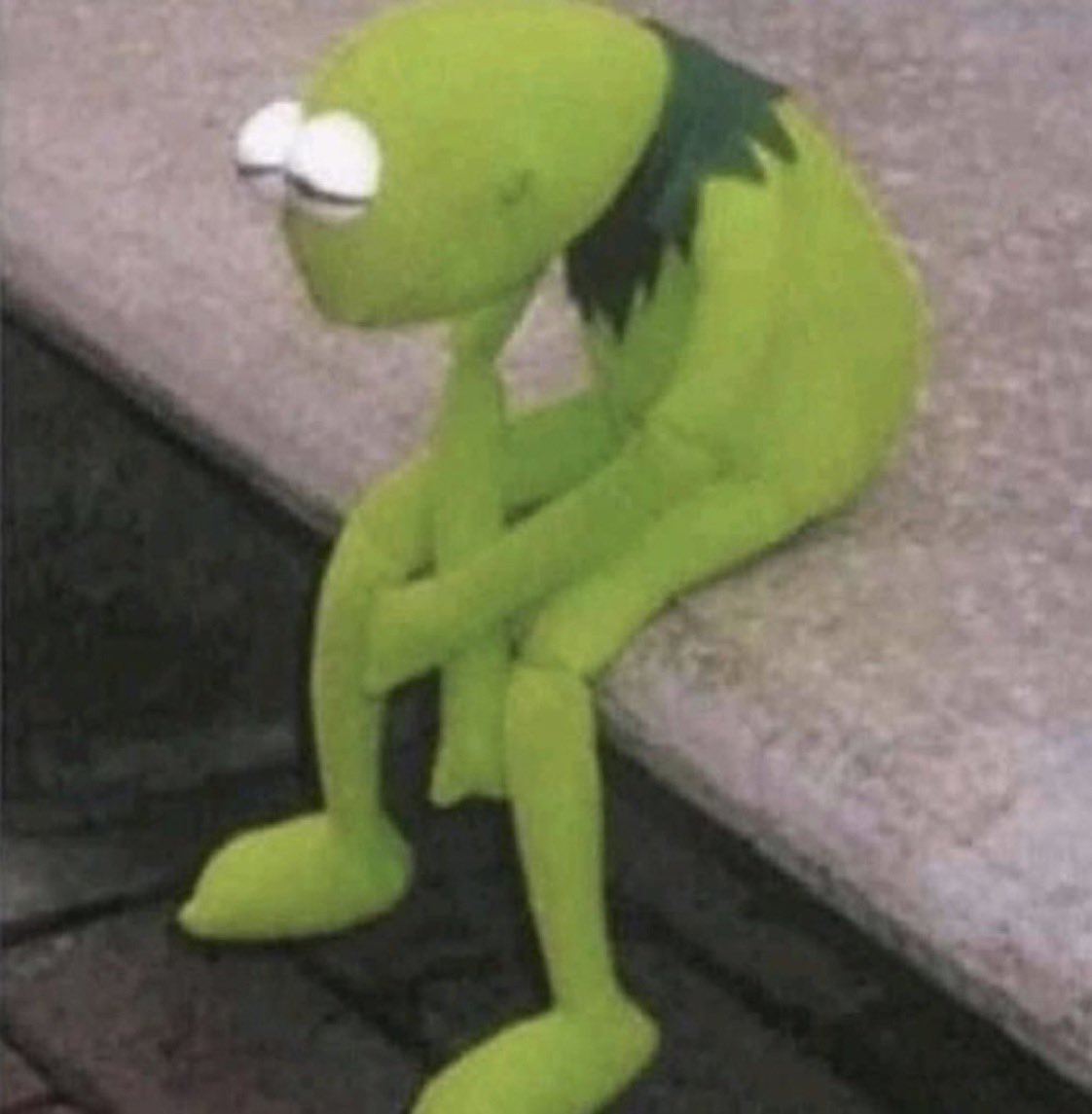 rexii💓 tweet media