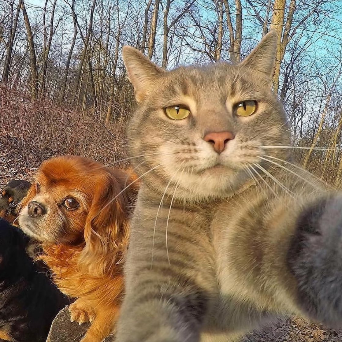 3hr33life's tweet photo. Selfie https://t.co/PSA1AsrVem