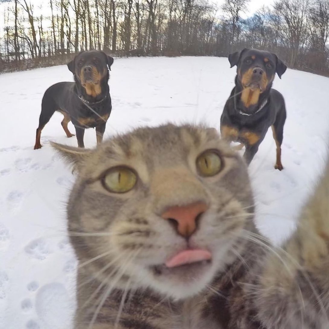 3hr33life's tweet photo. Selfie https://t.co/PSA1AsrVem