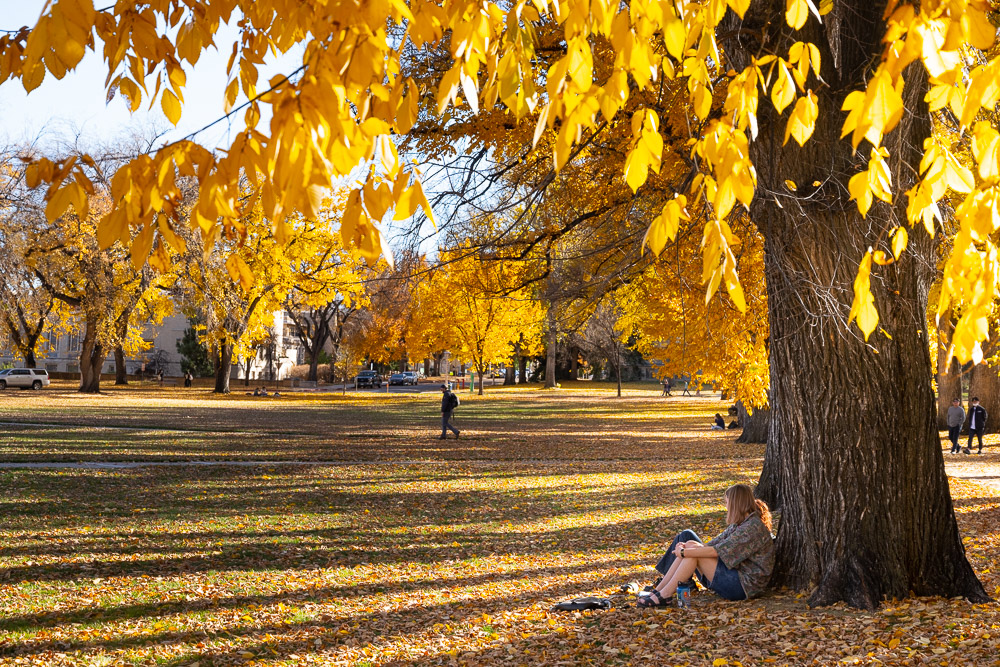 Take a seat, slow down and soak in Fall Break, Rams 💚