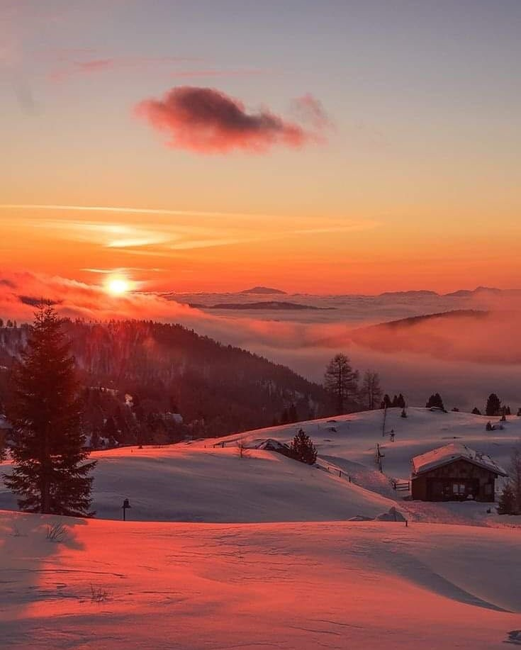 hempathyliving's tweet photo. As beautiful as it can be, the winter months can also be extremely tough emotionally for many people.  #SeasonalAffectiveDisorder (SAD) is a type of depression that's related to changes in seasons — #SAD begins and ends at about the same times every year. If you're like mos https://t.co/K3ES8xRlvt