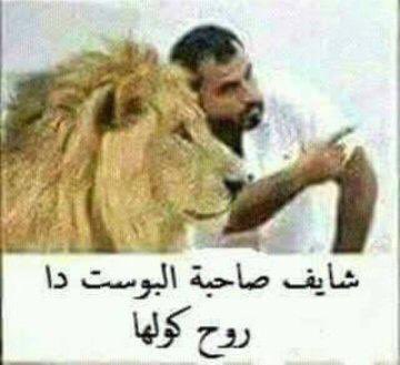NaderEl01555652's tweet photo. @DOonia2021 @G1312gafar @abdalaal0 🤣🤣🤣🤣🤣🐑🐑🐑🐑 https://t.co/iFriCmwWtE
