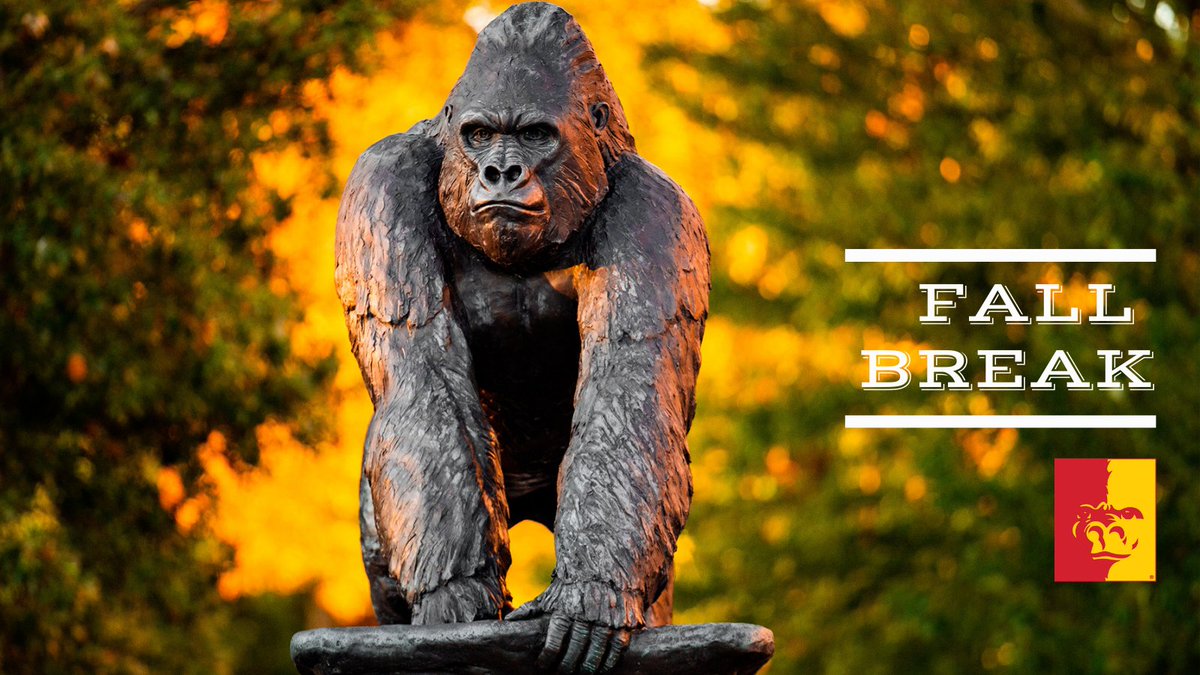 Enjoy fall break, Gorillas! Students are out all week next week, and campus is closed Nov. 24-26 for the Thanksgiving holiday.