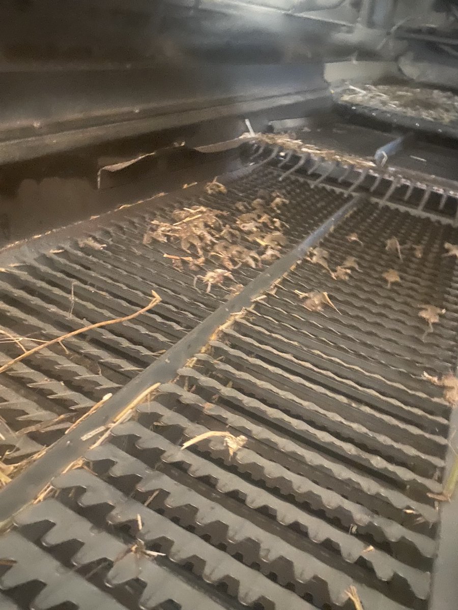 Chris Collins tweet media