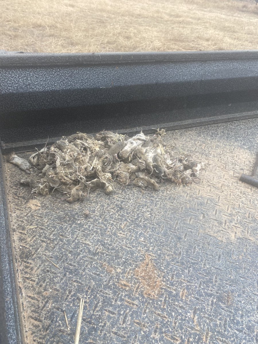 Chris Collins tweet media