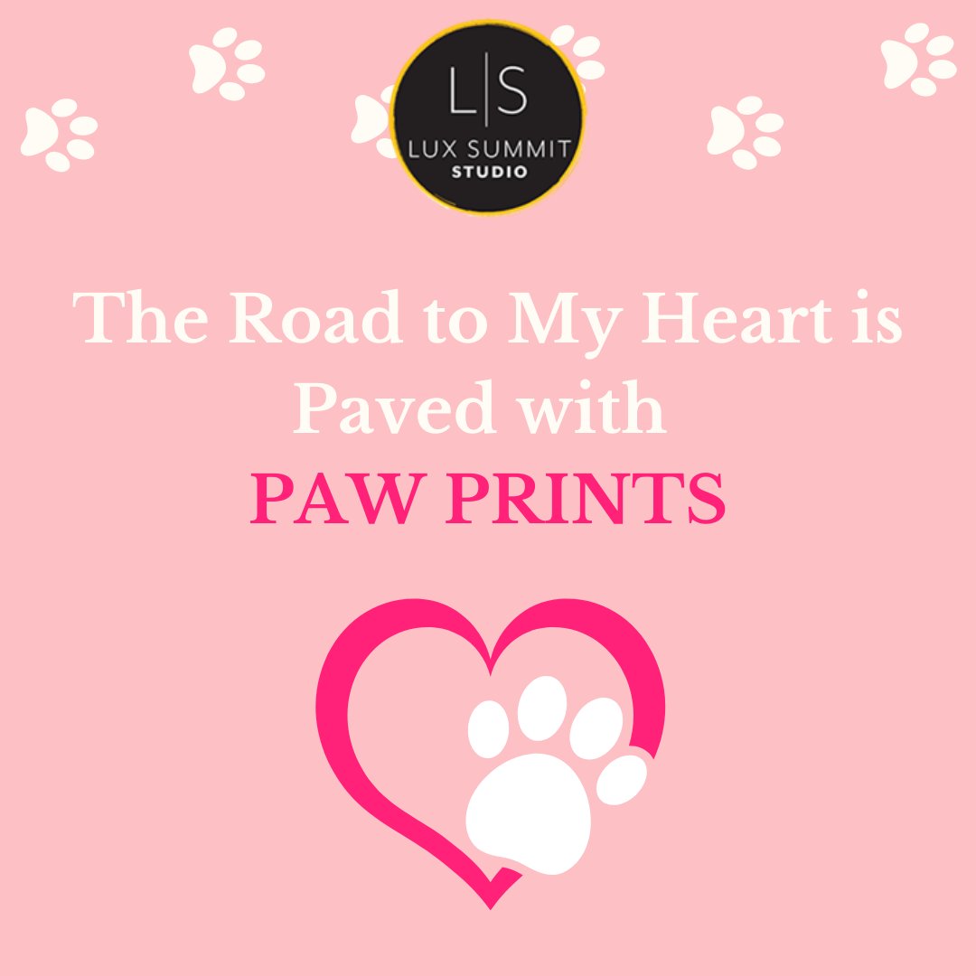 photo_kidd's tweet photo. Dogs 🐕 have a special place in the hearts ❤ of dog parents and dog lovers! 🐶❤

They'll be here for you when you need them and they just want love ❤ in return. 

Dogs 🐩 are truly such special creatures. 🐶📷
#adoptdontshop #puppylove #womansbestfriend #instadog #woof https://t.co/Z2zeIE7jTn
