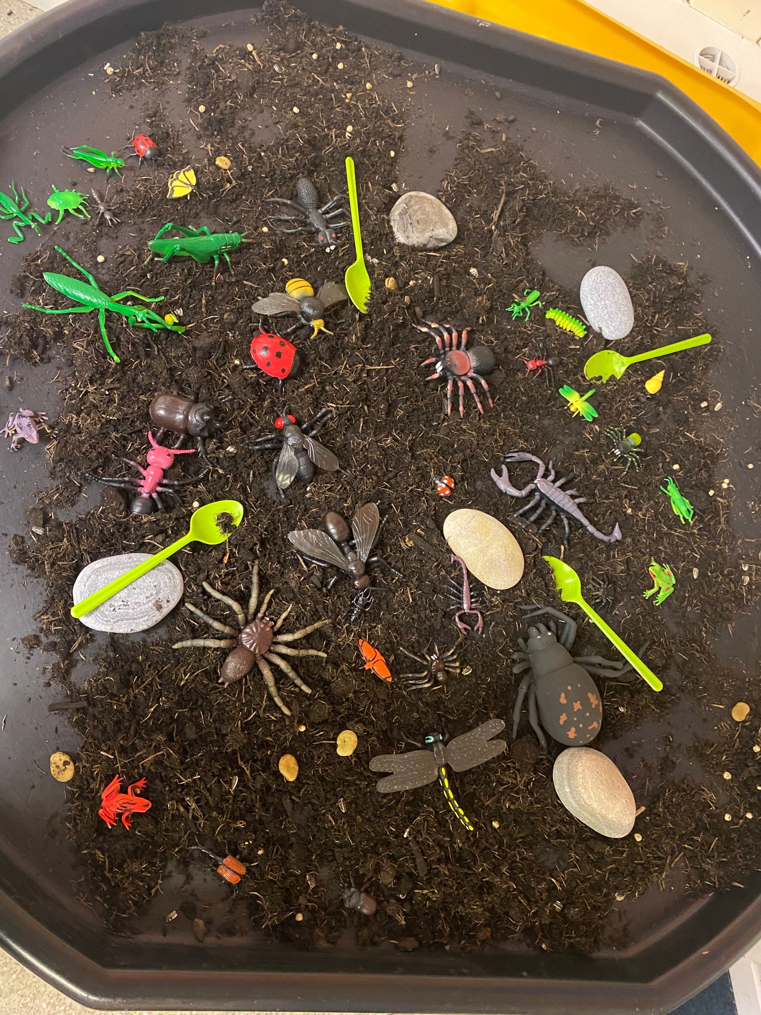 Rothiemay Primary School on X: Recycling resources for some tuff tray  activities🙋🏽‍♀️ We planted our magic beans one day, had an 'oi' activity  the next, and because lots of P1/2 are such