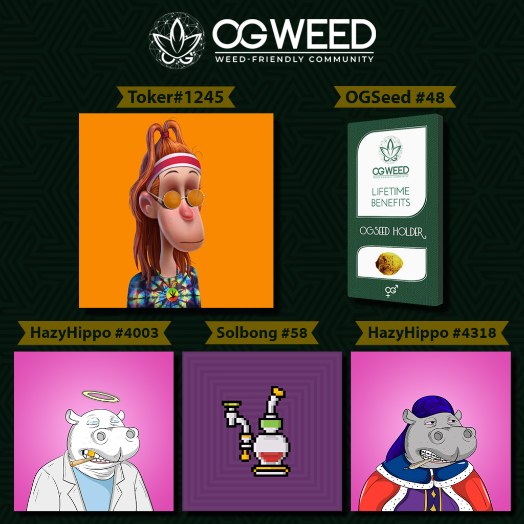 OGWeedNFT | Mint LIVE @0.5 SOL tweet media