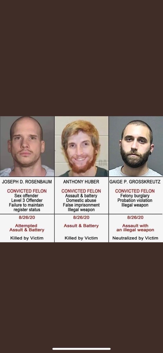 RosstD12's tweet image. Yeah these guys were #peacefulprotesters #NotGuilty