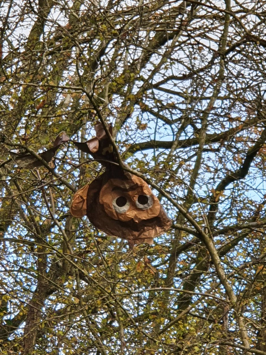 Nieuwe bewoners in het beekdal, slingerapen! 🙊
