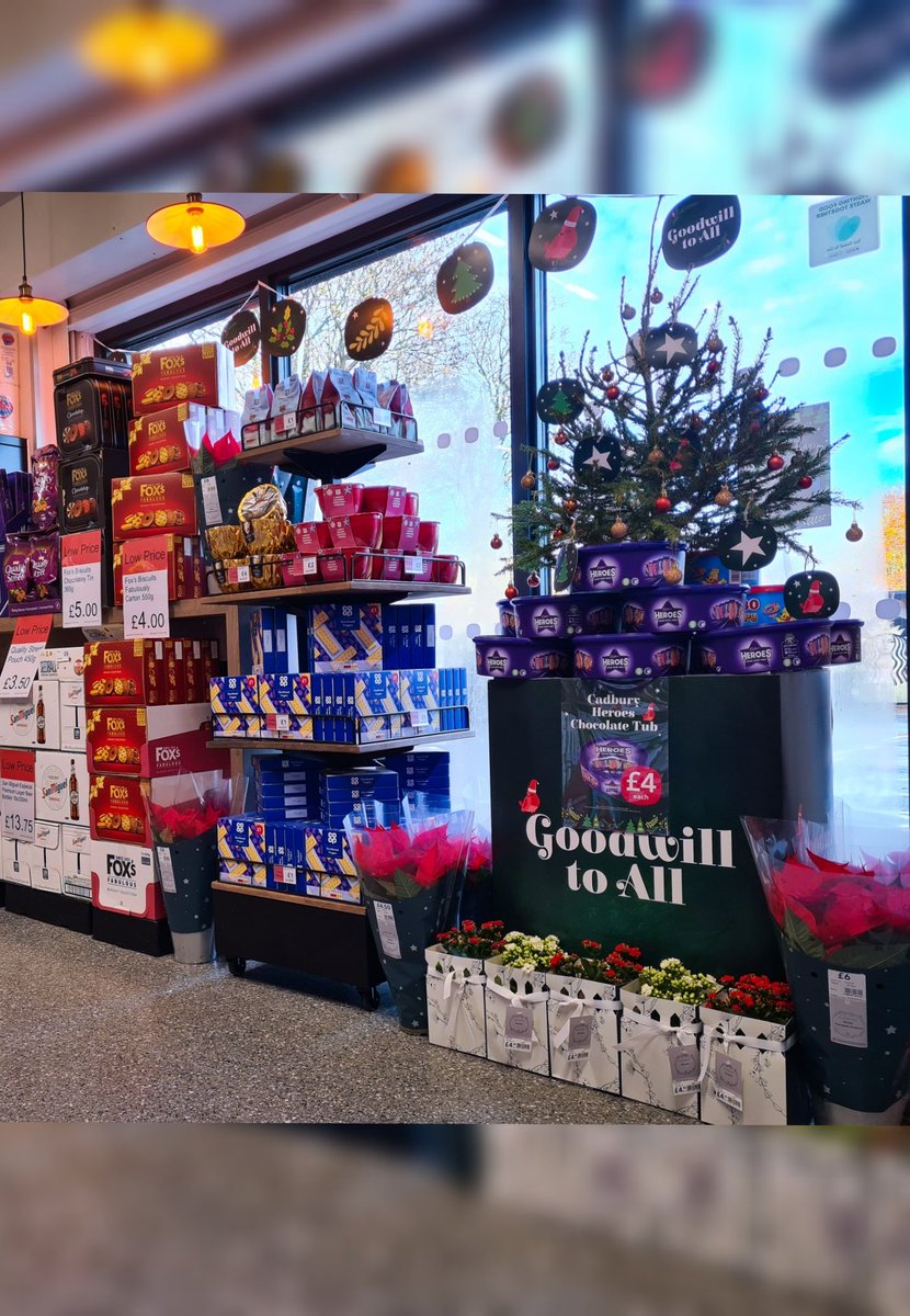 Nicole Suchy tweet media