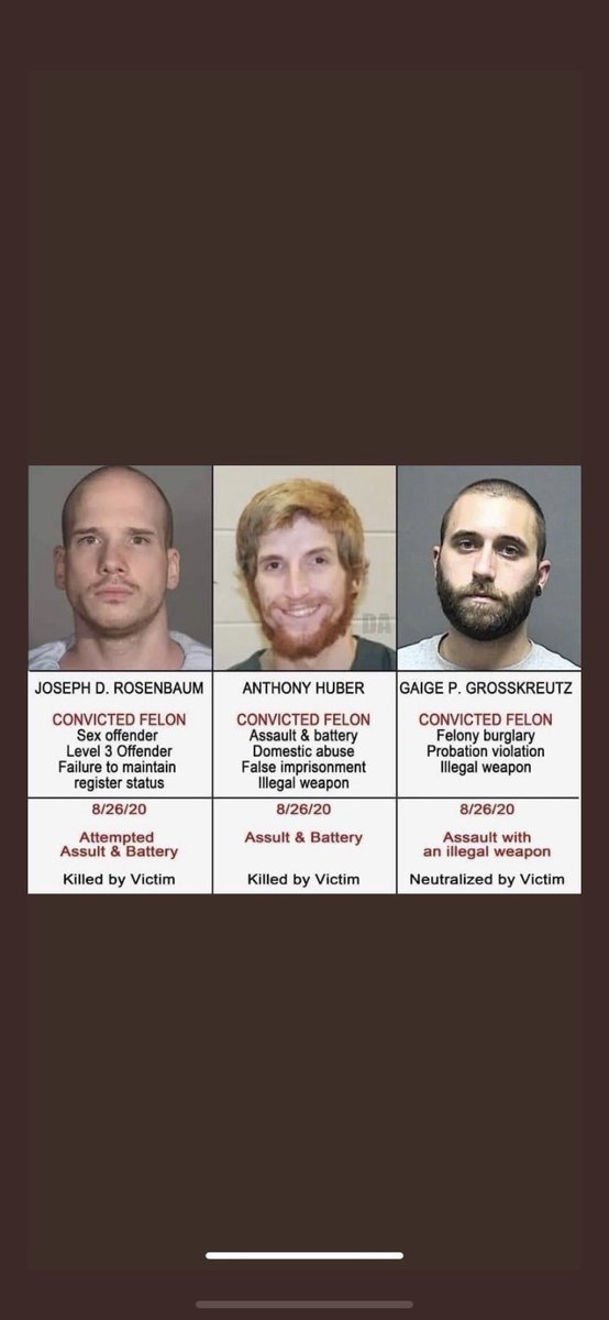 RosstD12's tweet image. Here are your #peacefulprotesters