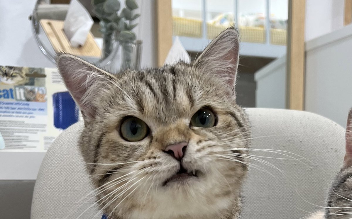 ถ่ายงานให้ลค. กำลังนั่งคัดรูปแล้วดูหน้าไอหยองแต่ละรูป โอย 55555555 ทำหน้าให้มันดีๆหน่อยลูก เล่นหูเล่นตาตะไม