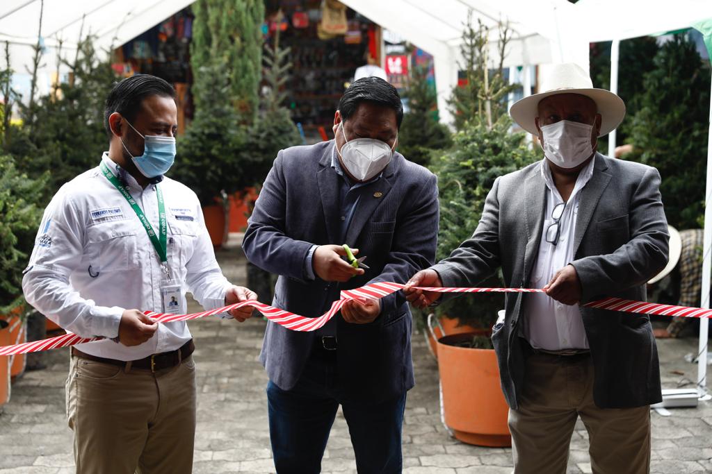 CONAPgt's tweet photo. 📝👇https://t.co/SreS9eECdN

¡Juntos protejamos y conservemos nuestros bosques 🌲🌳🌎!

#PinabeteConMarchamo #EvitemosSuExtinción #CompraLegal #CompraConMarchamo https://t.co/kn1a6FNQTm