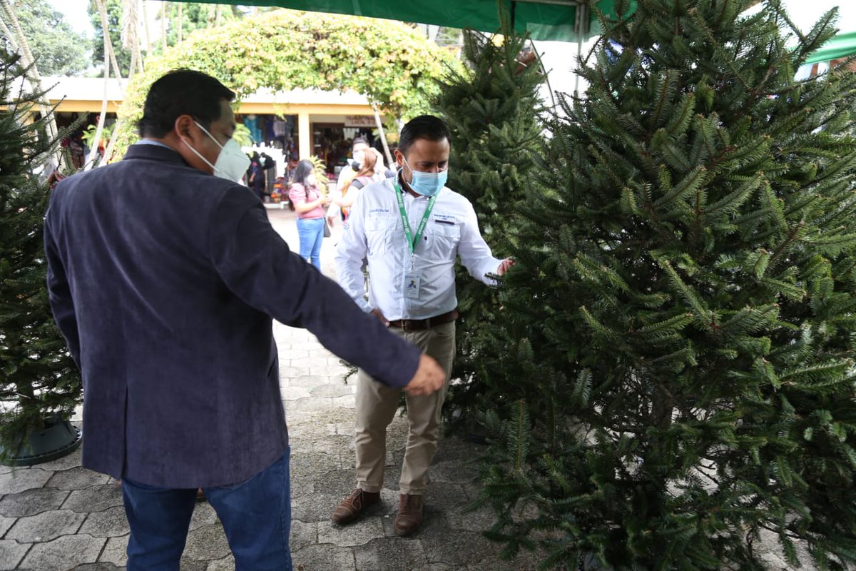 CONAPgt's tweet photo. 📝👇https://t.co/SreS9eECdN

¡Juntos protejamos y conservemos nuestros bosques 🌲🌳🌎!

#PinabeteConMarchamo #EvitemosSuExtinción #CompraLegal #CompraConMarchamo https://t.co/kn1a6FNQTm