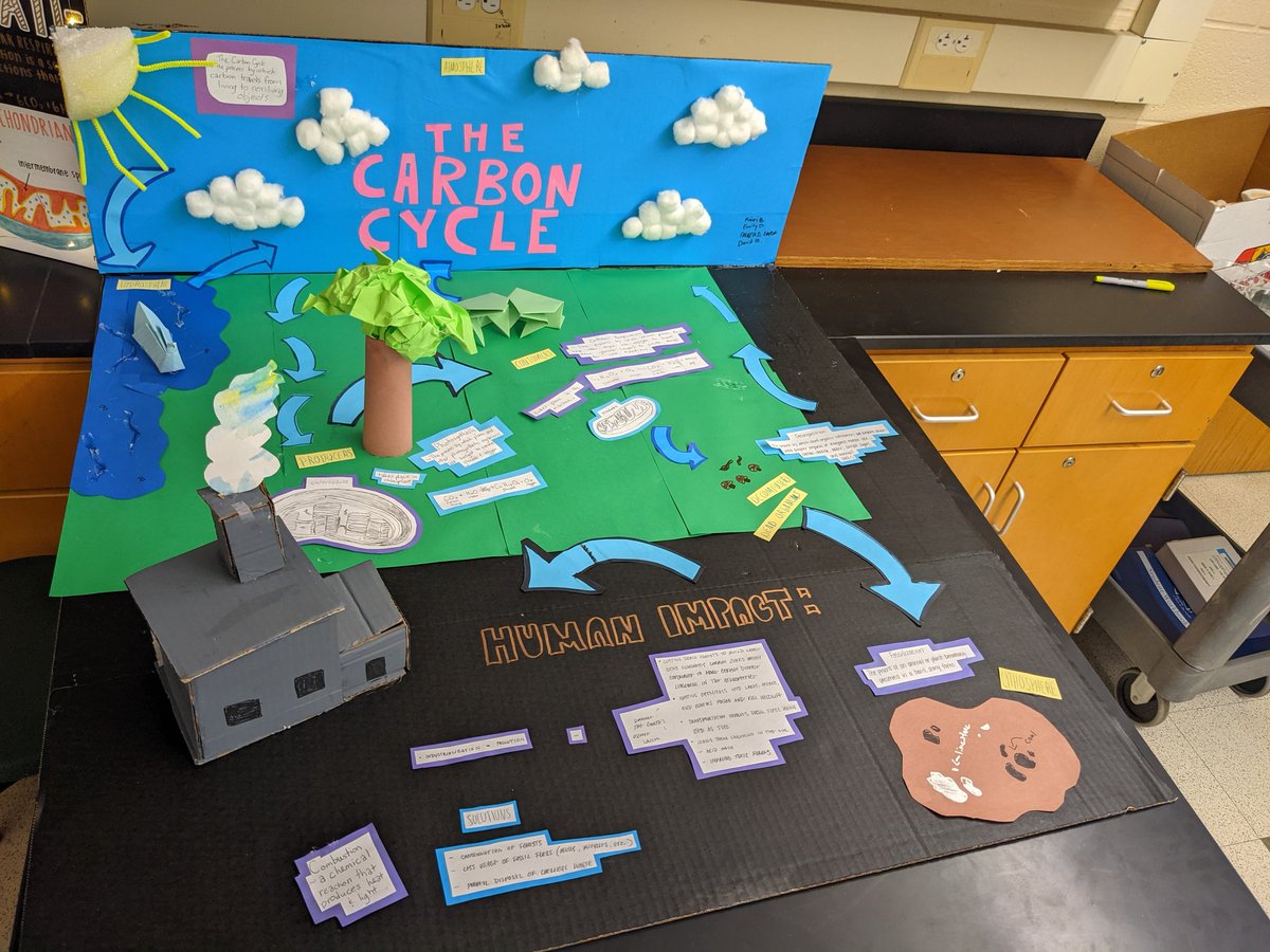 nwillwerthHHS's tweet photo. Final products of the carbon cycle projects. A few really stand out, but there was definitely a lot of effort put forth by my students! https://t.co/TN0OyDqlYS