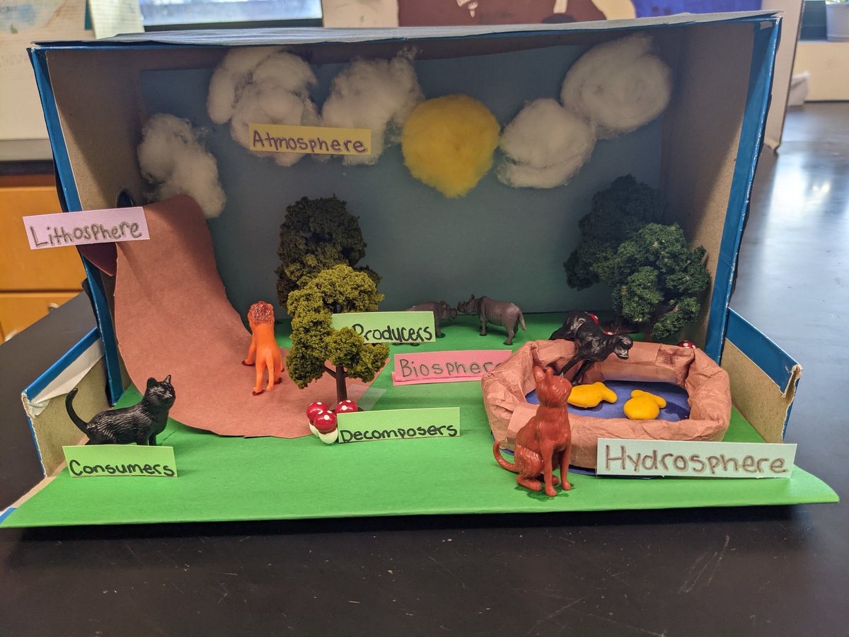 nwillwerthHHS's tweet photo. Final products of the carbon cycle projects. A few really stand out, but there was definitely a lot of effort put forth by my students! https://t.co/TN0OyDqlYS
