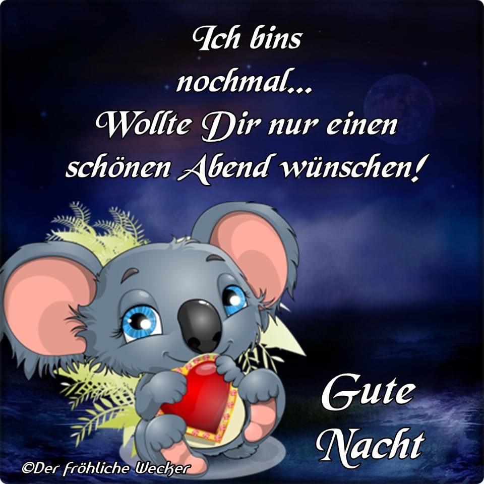 Ich wünsche euch allen eine gute Nacht 🌙💤😴😘