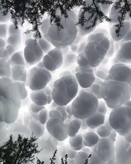DrLongissimus's tweet photo. Sky obstruction https://t.co/5poKY7Csav