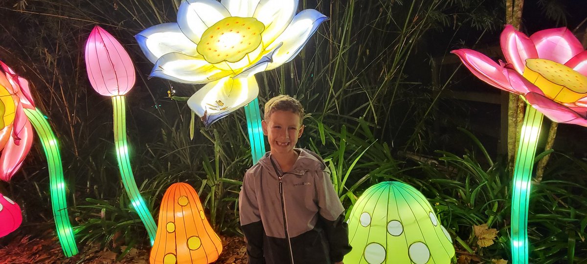 Wirelesssavvy's tweet photo. Checkout the Asian lightern 🏮 festival @Centralflzoo here in Central FL, that's starts today, sponsored by no other then @TMobile. Something the whole family can enjoy.  #CFZAsianLanternFestival #CFZIntoTheWild https://t.co/BXbqZcq6A0