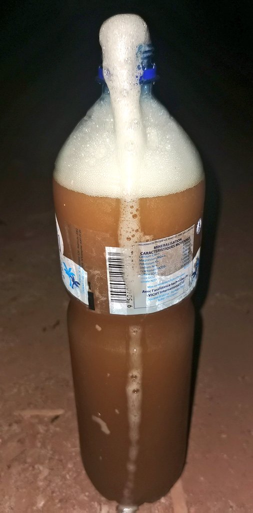 HuguFlavieNARE's tweet photo. Dieu est gentil !
😍🤤🤤🤤🤤🤤🤤🤤🤤
Le seul bon truc que les #Chameaux (Samo) du #BurkinaFaso savent faire.
Vous êtes trop nombreux pour que je vous identifie.
Bravo mes esclaves 👌🏿👍🏿🤤.
#ParentéeÀPlaisanterie entre #moaga et #san ou #samo.
#BonWeekend
#TL226 #Team226 #lwili https://t.co/27lAiZaego