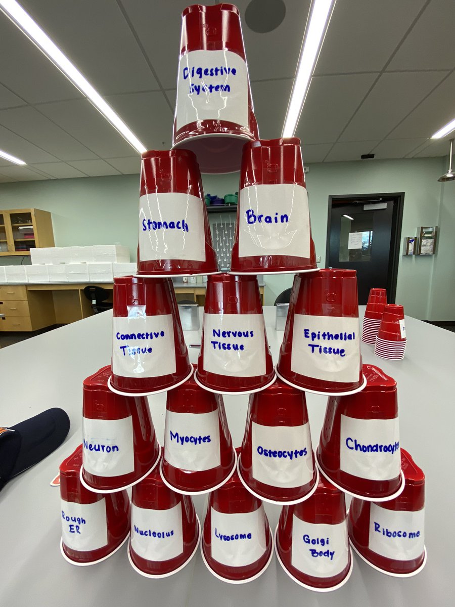 UticaBiology's tweet photo. Getting ready for the 2021 biolympics!! @gigib0907 @denise_genao @NathanR34847190 https://t.co/DwVnDCll4C