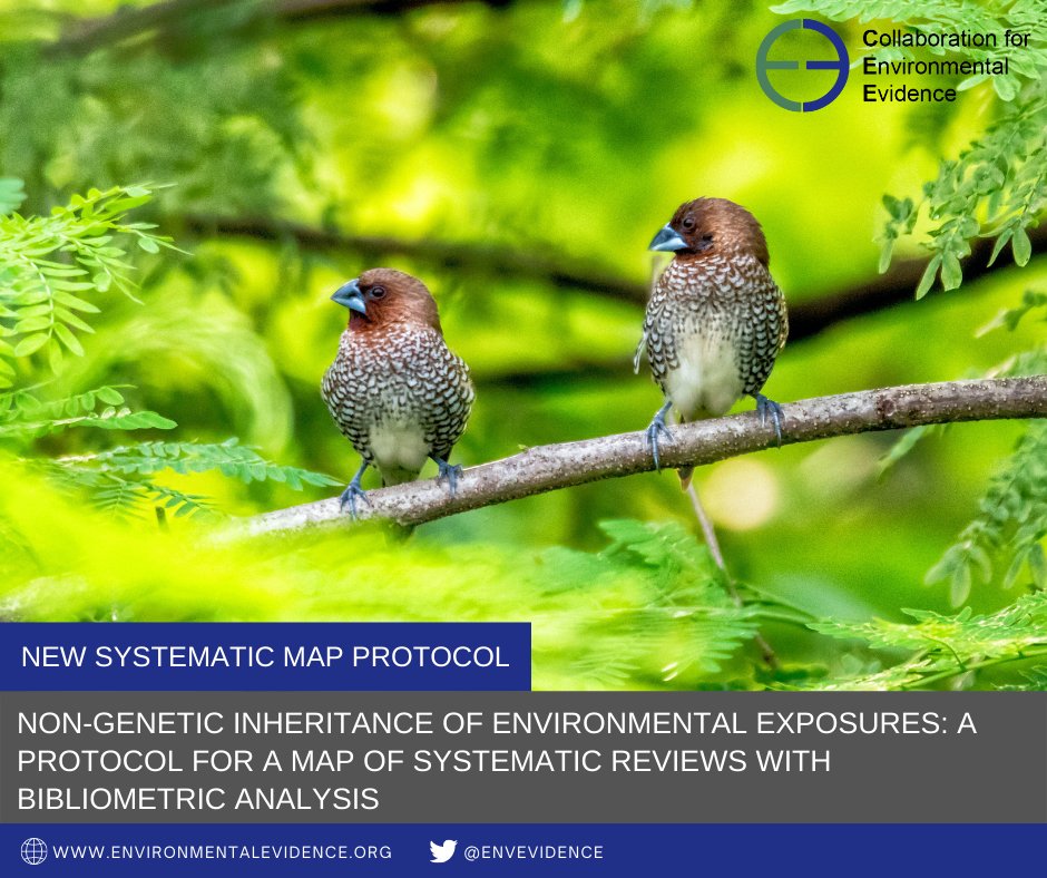 EnvEvidence's tweet photo. New CEE #SystematicMap protocol proposes to create a map of #SystematicReviews and conduct bibliometric mapping to clarify research patterns within the SR literature across disciplines on non-genetic inheritance: https://t.co/YSRCXUFQ9e #EvidenceSynthesis #EnvEvidence https://t.co/ff5k5v00Xy