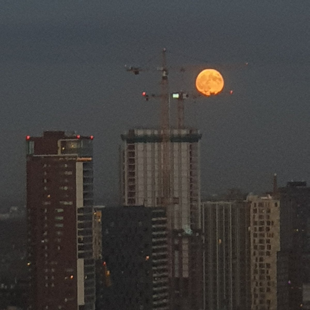 HeinRaat's tweet photo. @Rotterdam growth https://t.co/11glQzEaJc
