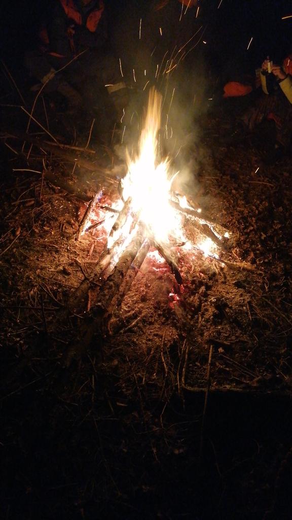 Коллеги, а что если нам по окончанию сезона, вернуться к практике проведения лекции :" Методики поиска в природной среде, прочес и отклик"?
Читать буду я, отвечать на вопросы тоже.
Кто за?
Рт по желанию, регионы приветствуются.