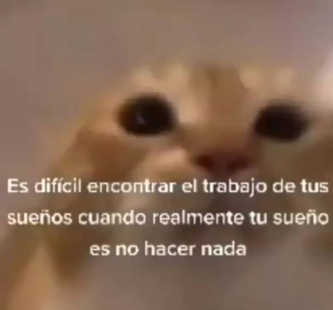 memefeos's tweet photo. https://t.co/qj239KjSwi