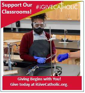 Our Lady of Mercy tweet media