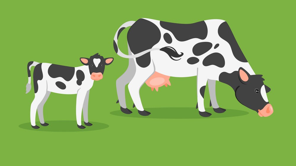 Breeding Season is just upon us

If you haven't already got your team finalised or are having difficulty in putting a team together why not let us help you in building the best team possible to suit your herds needs

For further details or enquiries feel free to DM us