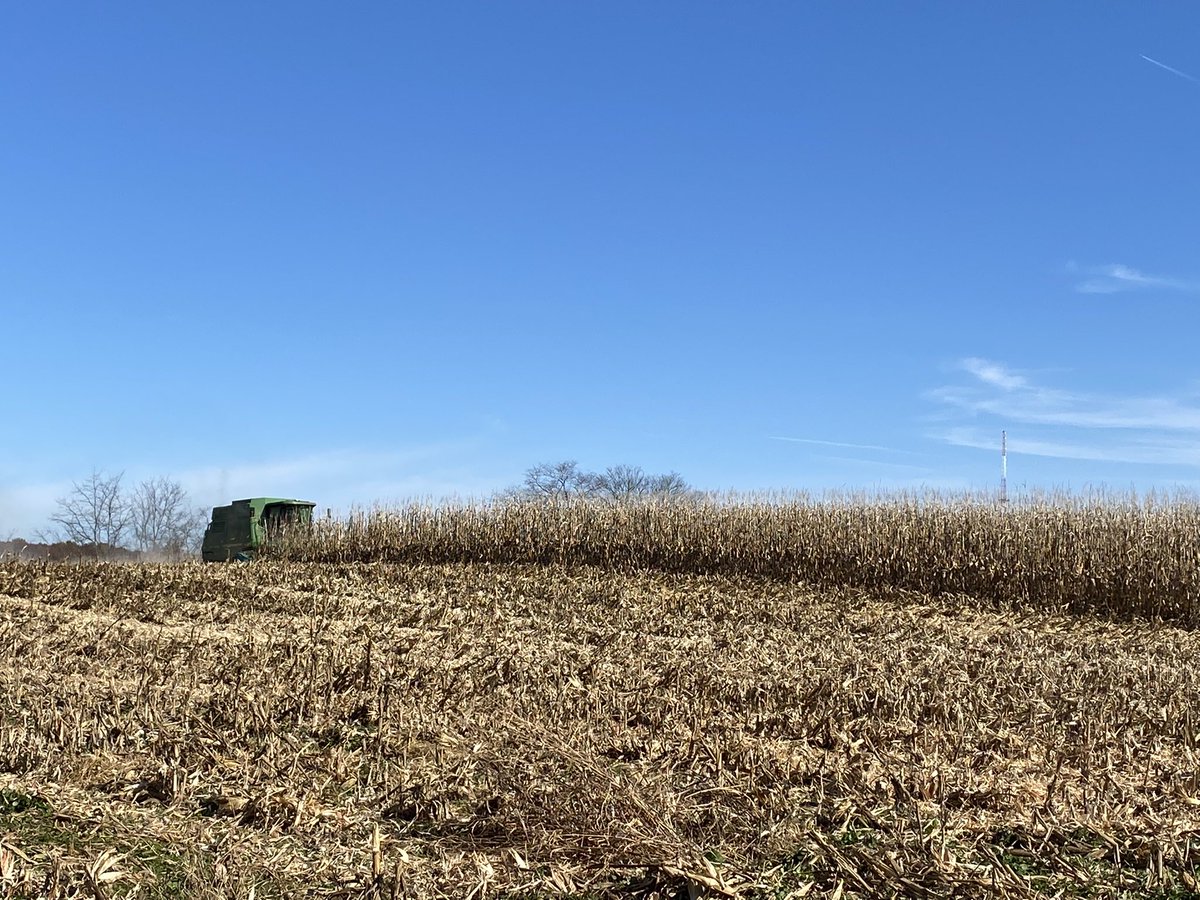 SeedGalVal's tweet photo. Thank you @siu_ag_sciences for allowing @NKSeeds to have a spot on the farm to do a stress, tough ground corn demo plot. Also, a big thanks to my help! @Southern_fs_inc @creedworthen @gracehaney77 Some product highlights included:
💥NK1239
💥NK1460
💥NK1523 https://t.co/08r9cJRtZo