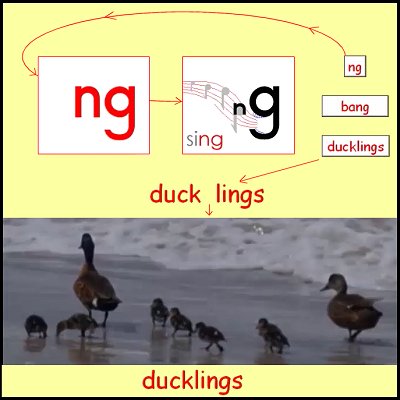 A delightful video of ducklings swimming in the waves demonstrates splitting a word into syllables – sounds, syllables, engagement, and vocabulary extension. A tool for parents and teachers. successwithreading.com/sounds-and-syl…