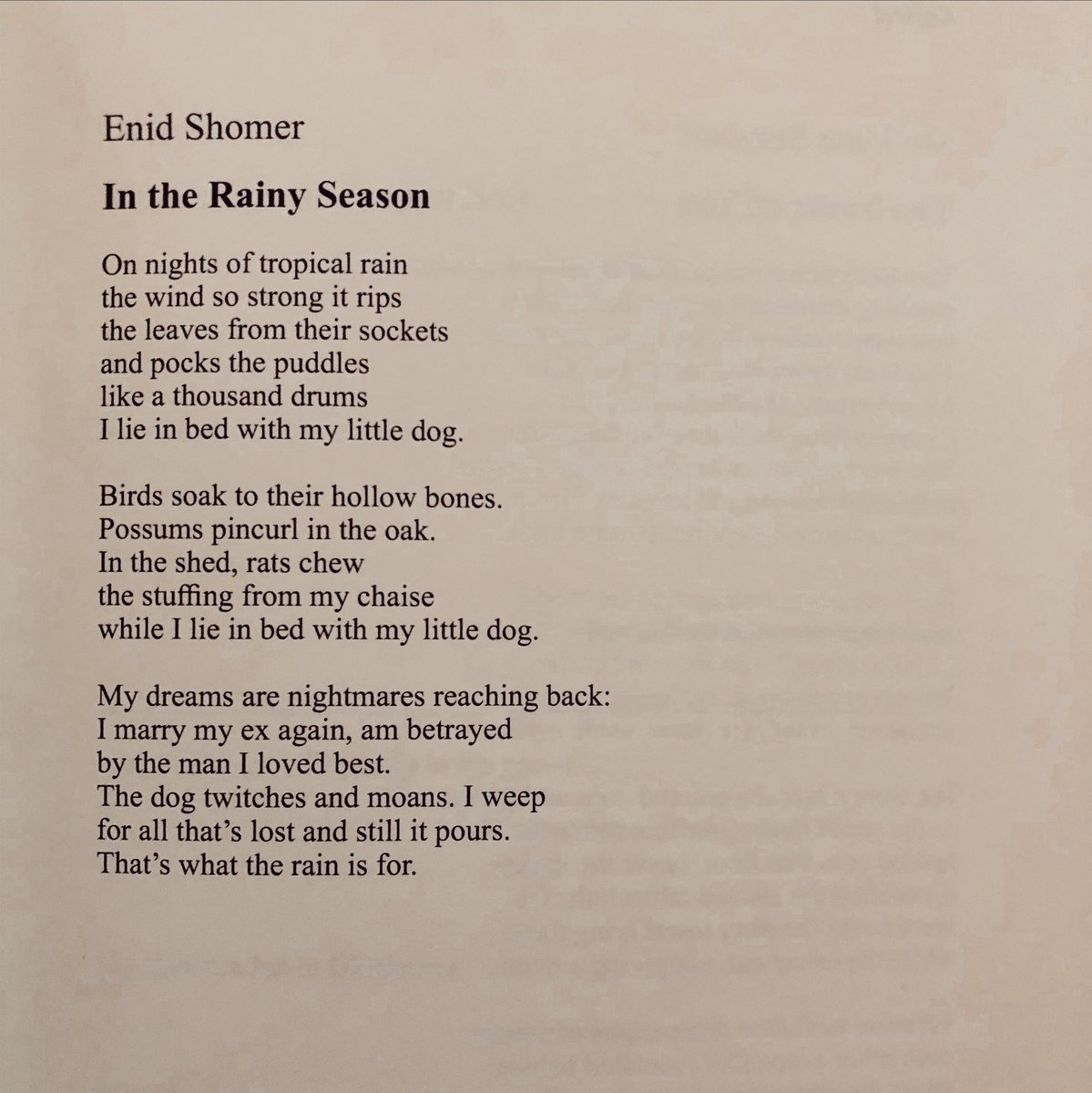enidshomer's tweet photo. Thank you Kestrel for including my poem “In Rainy Season” in Issue 45, along with a review of my book SHORELESS. 💗 https://t.co/BdCcvLTTez