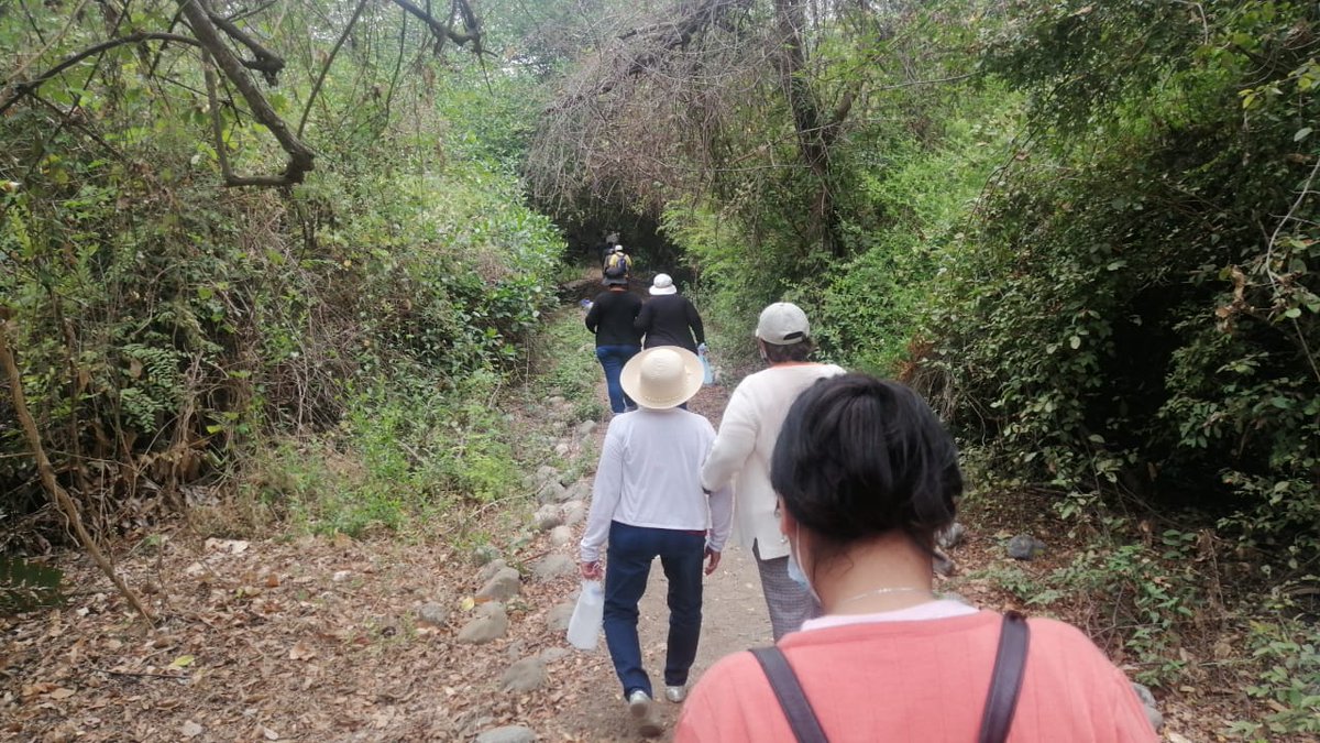 MAE_Zonal5's tweet photo. #NuestrosTécnicos #PRESIS con #NuestrosGuardaparques de la Reserva Ecológica #ManglaresChurute participaron en recorrido vivencial con adultos mayores de la Fundación Caminando al Futuro del #EsteroPalanqueado https://t.co/AAbMugaz9o