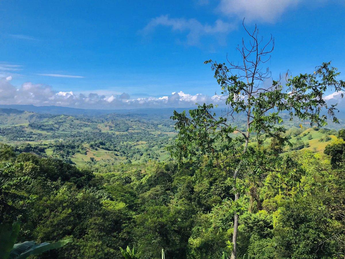CherryTabia's tweet photo. Somewhere in Davao City to Bukidnon🥺🤩🥰🏞 https://t.co/3u3h2lBcmu