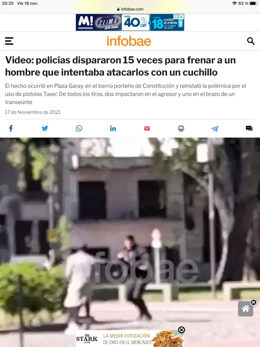 La Tana tweet media