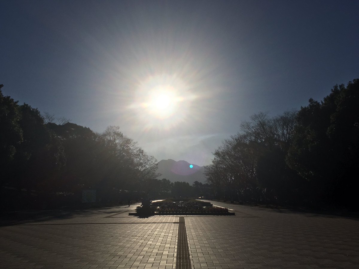kagonman's tweet photo. 必要以上に神々しい散歩 https://t.co/YCAVXQ60aV
