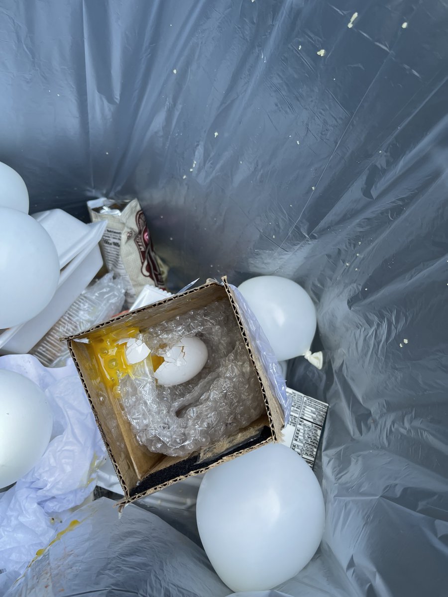 HonorRollSchool's tweet photo. It's the one with the Great Egg Drop experiment!
Will it break?  Will it break??  Some did...but most did not! https://t.co/IzTHybpESl