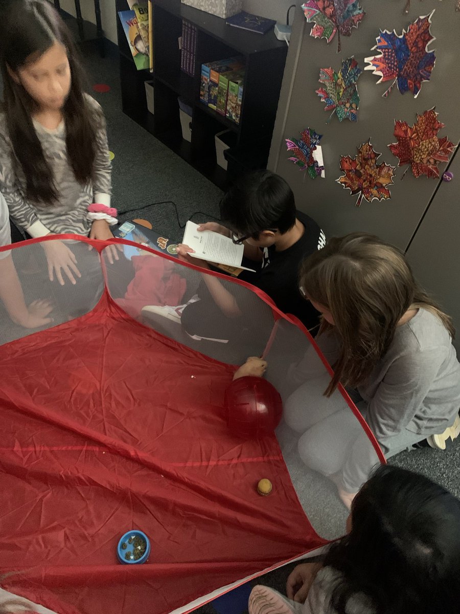 Natalie Hickerson tweet media