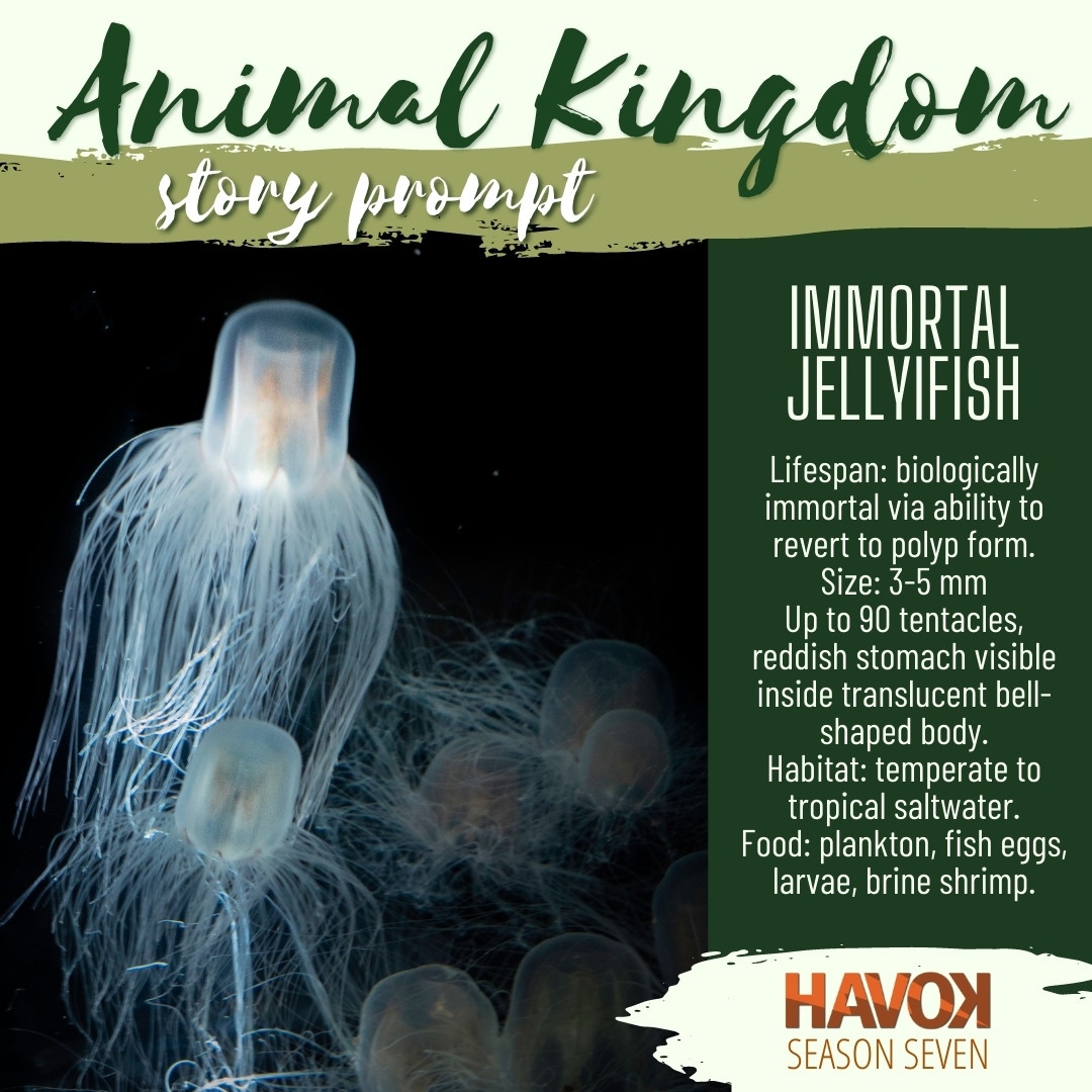 gohavok's tweet photo. We're looking for flash fiction featuring interesting creatures for our next season (Jan-Jun). Now open for submissions: stories with swimmers and flyers. Here's a fun one! Full submission guidelines: https://t.co/Z9rEfQEJbi #amwritingflashfiction #submityourstory https://t.co/lrxfLYUts4