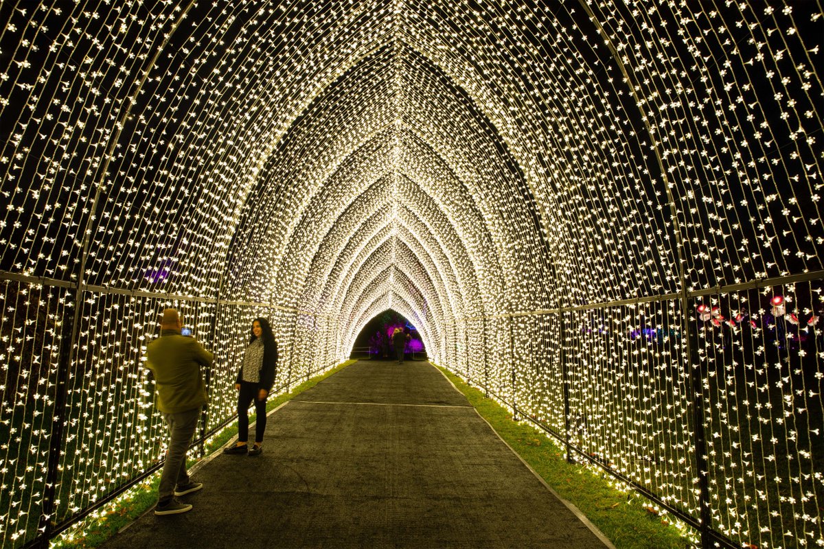 Gothamist's tweet image. The Brooklyn Botanic Garden is offering a new, illuminated after-dark experience called "Lightscape," a twinkling maze winding through their 52-acre landscape featuring 14,000 glowing orbs of light, a 98-foot-long tunnel, 20 treetop sculptures, and more. bit.ly/3CG3Wwo