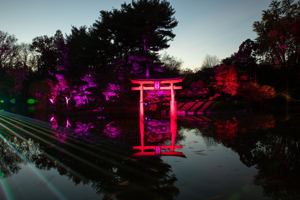Gothamist's tweet image. The Brooklyn Botanic Garden is offering a new, illuminated after-dark experience called "Lightscape," a twinkling maze winding through their 52-acre landscape featuring 14,000 glowing orbs of light, a 98-foot-long tunnel, 20 treetop sculptures, and more. bit.ly/3CG3Wwo
